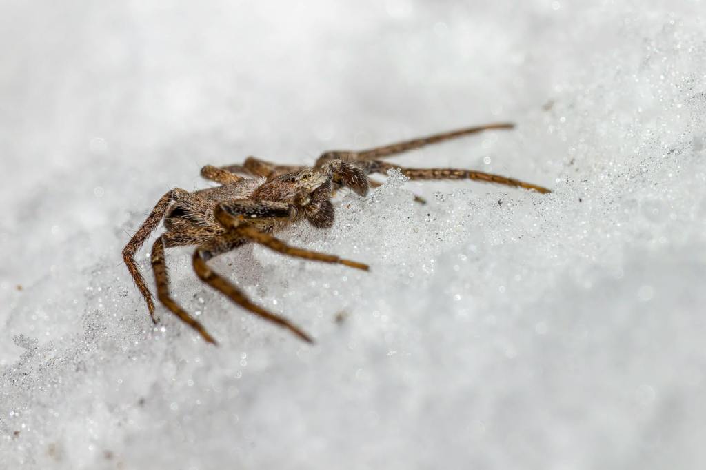 Believer’s Authority In Action IV: Lucifer’s Seat&nbsp;Destroyed