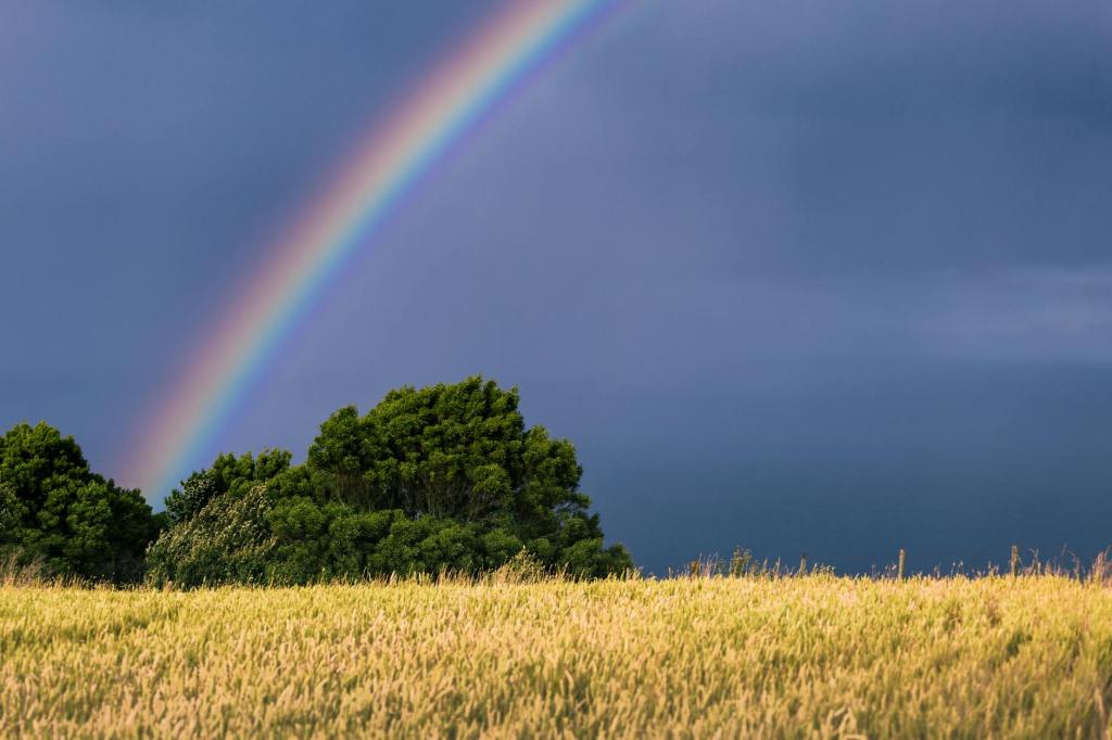 Patience Leads To&nbsp;Prosperity